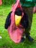 Bildvorschau