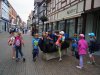 Bildvorschau